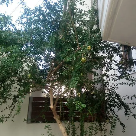 Apartmán Milena House Chania (Crete)